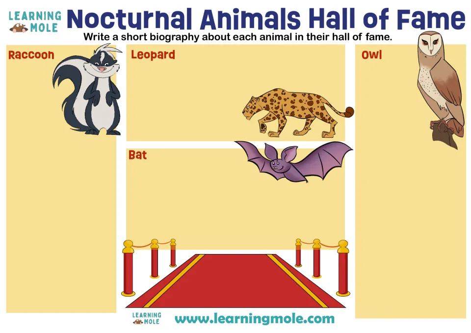 Nocturnal animals writing: students write a short biography of a raccoon, leopard, bat and owl on a red-carpet page