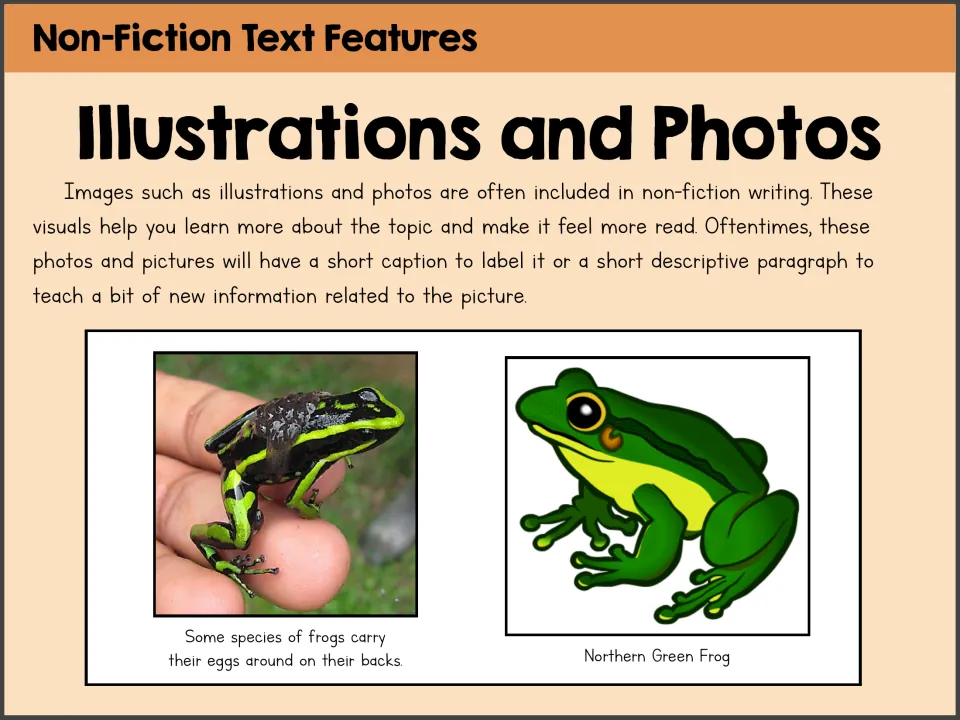 Illustrations and photos poster showing a frog carrying eggs and a Northern Green Frog drawing with captions