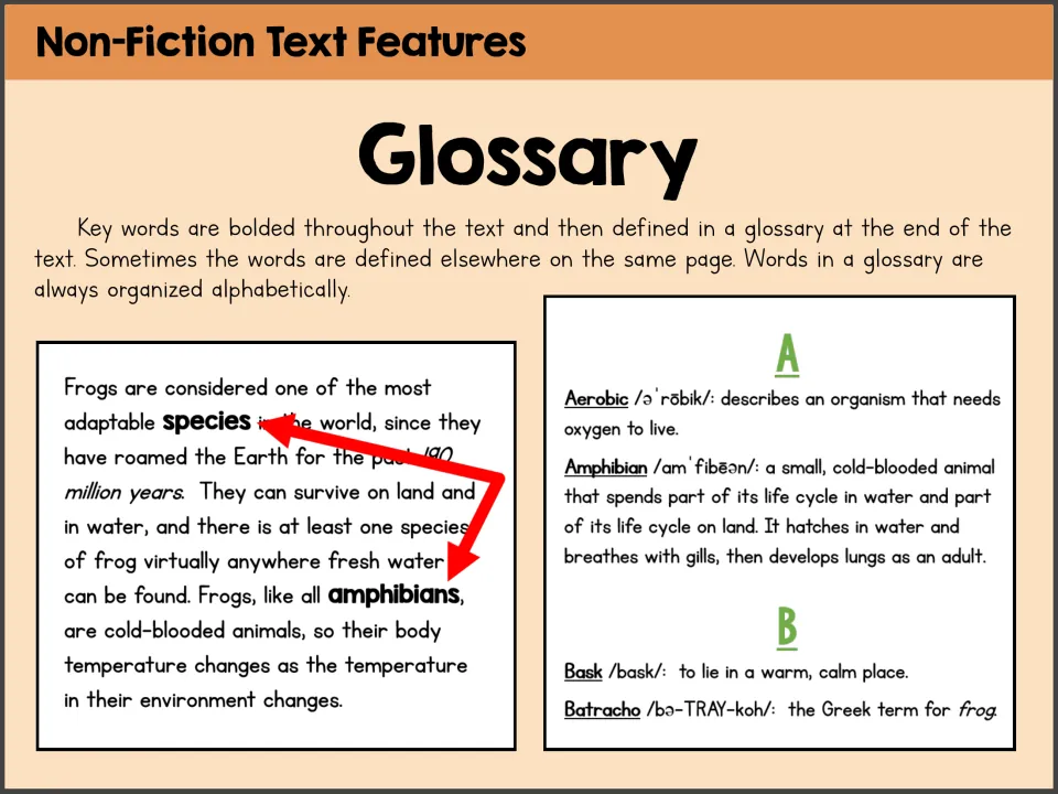 Glossary poster linking bold frog vocabulary to definitions, with sample entries for Aerobic, Amphibian, and more