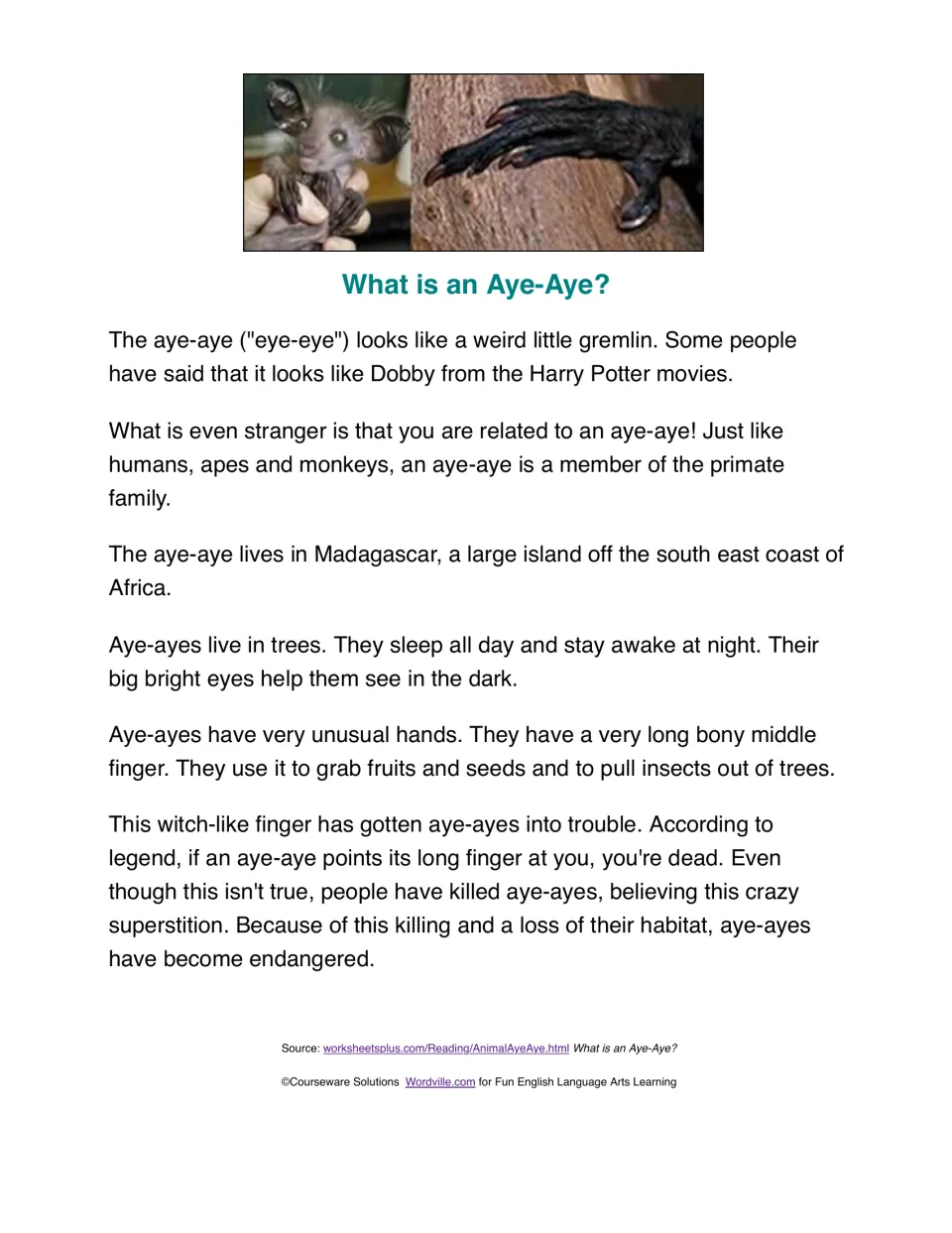 What is an Aye-Aye? Informational passage on the aye-aye's Madagascar home, long middle finger and endangered status