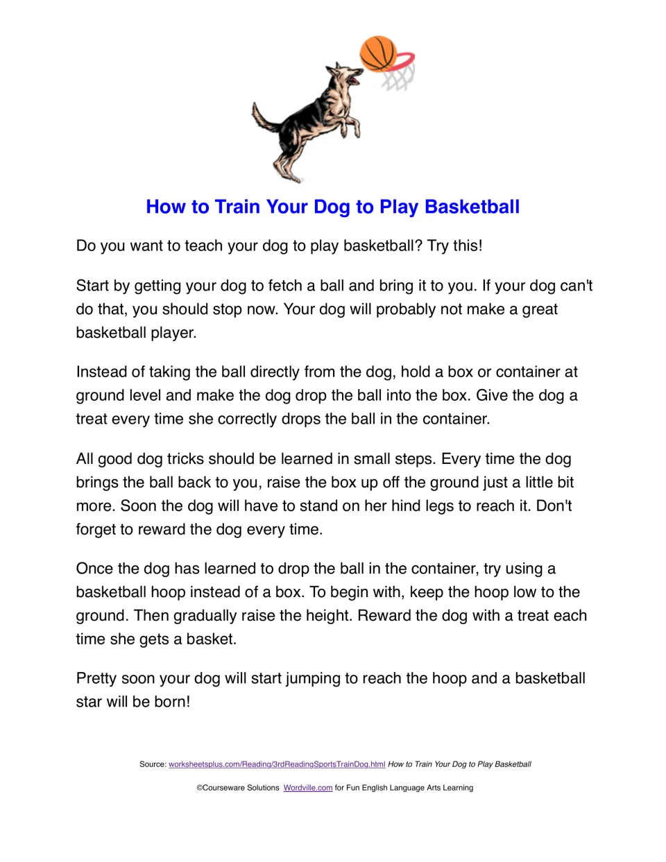 How to Train Your Dog to Play Basketball: how-to passage on step-by-step training with a ball, box, hoop and treats