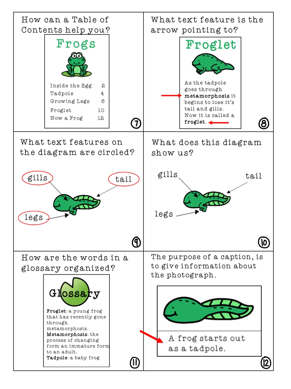 Text feature cards 7-12: students use a table of contents, spot bold print and labels, and read a diagram and glossary
