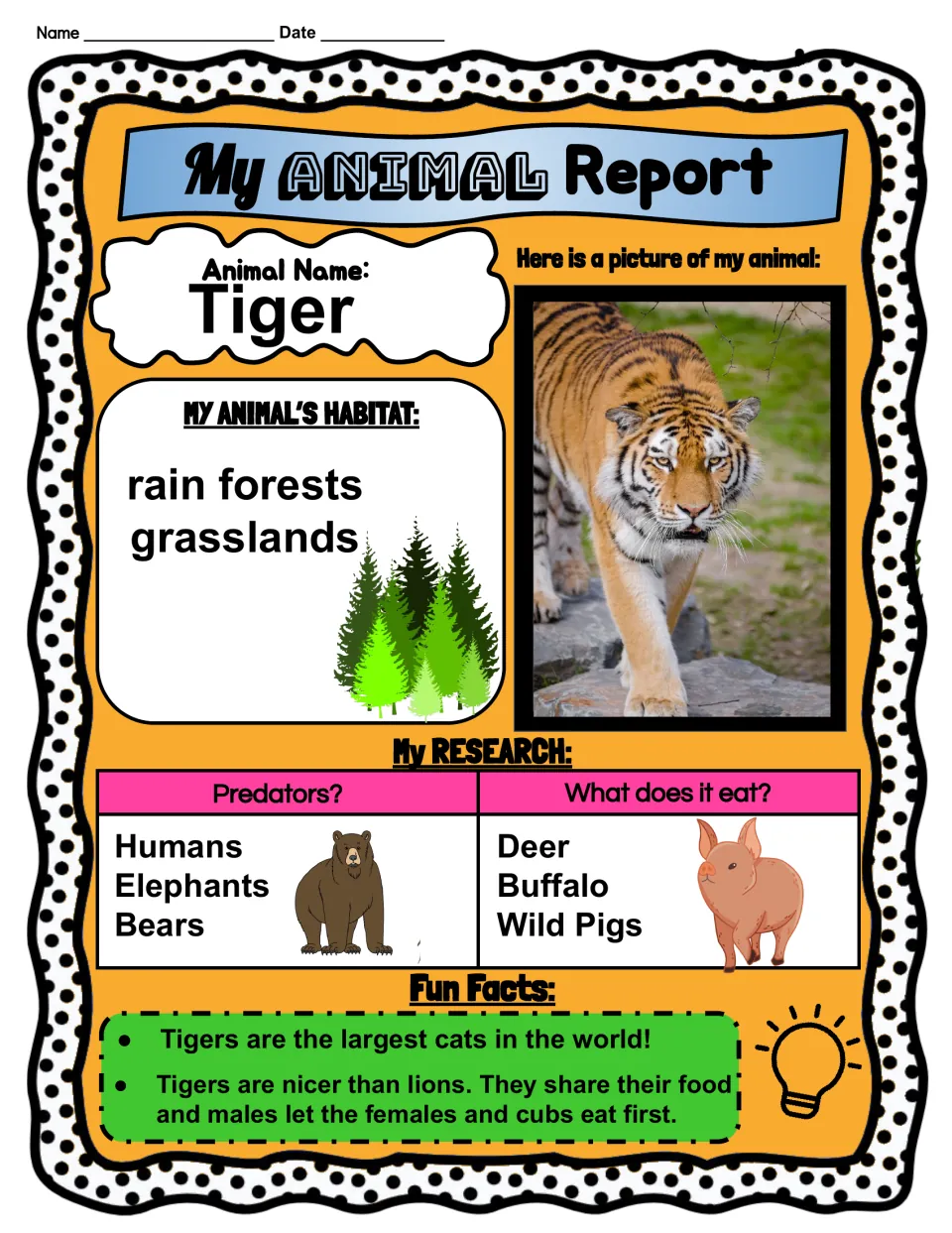 Tiger report example: habitat, predators, diet and two fun facts filled in beside a tiger photo, modeling research notes