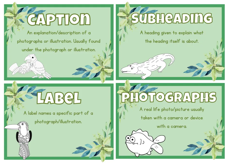 Nonfiction definition cards for caption, subheading, label, and photographs, printed four per sheet