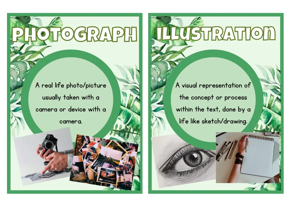 Larger photograph and illustration posters show a camera, printed photos, an eye drawing, and a sketchbook