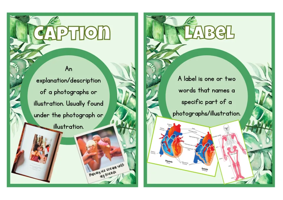 Larger caption and label posters show captioned photos and labeled diagrams of a heart and human skeleton