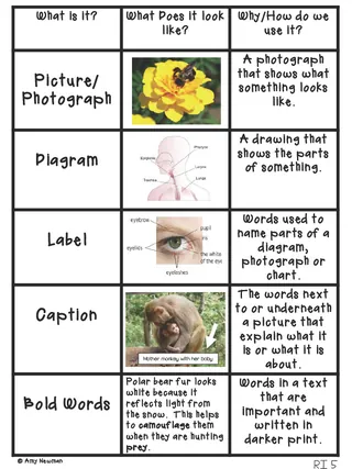 Nonfiction Text Features – Anchor Chart Set – cover
