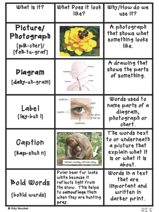 Nonfiction Text Features – Anchor Chart Set – sample page 2