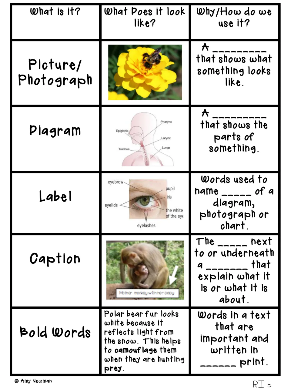 Fill-in-the-blank text features chart: students complete definitions of picture, diagram, label, caption, bold words