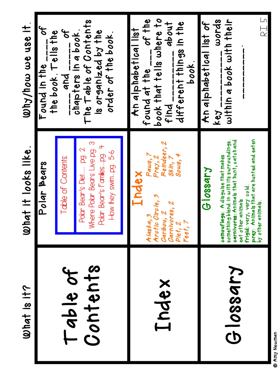 Polar bear book examples of a table of contents, index and glossary; students fill in how each feature is used