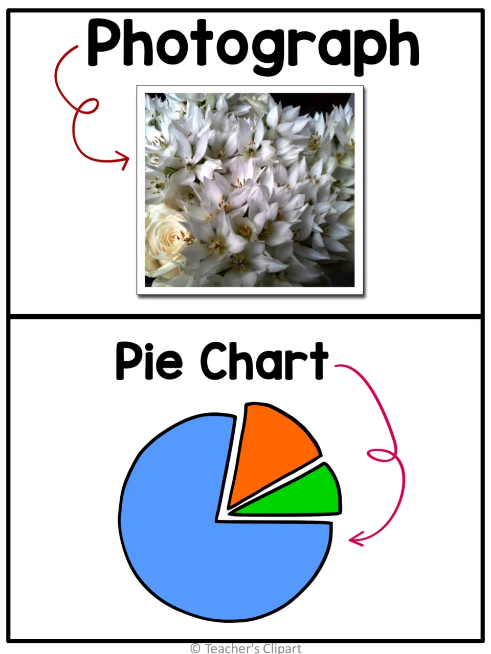 Photograph and pie chart posters: a close-up photo of white flowers and a three-slice pie chart
