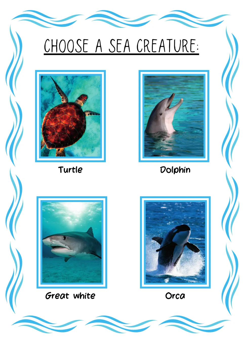 First sea animal selection page for the research book: labeled photos of a turtle, dolphin, great white, and orca