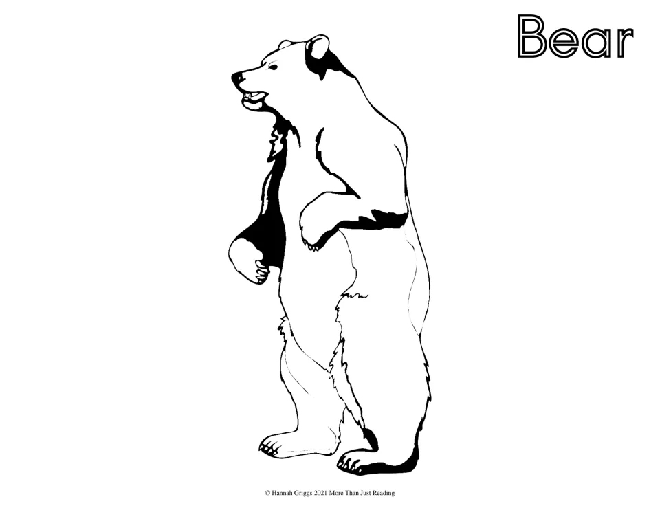Bear: students color a line drawing of a bear standing upright on its hind legs, with the word Bear in hollow letters