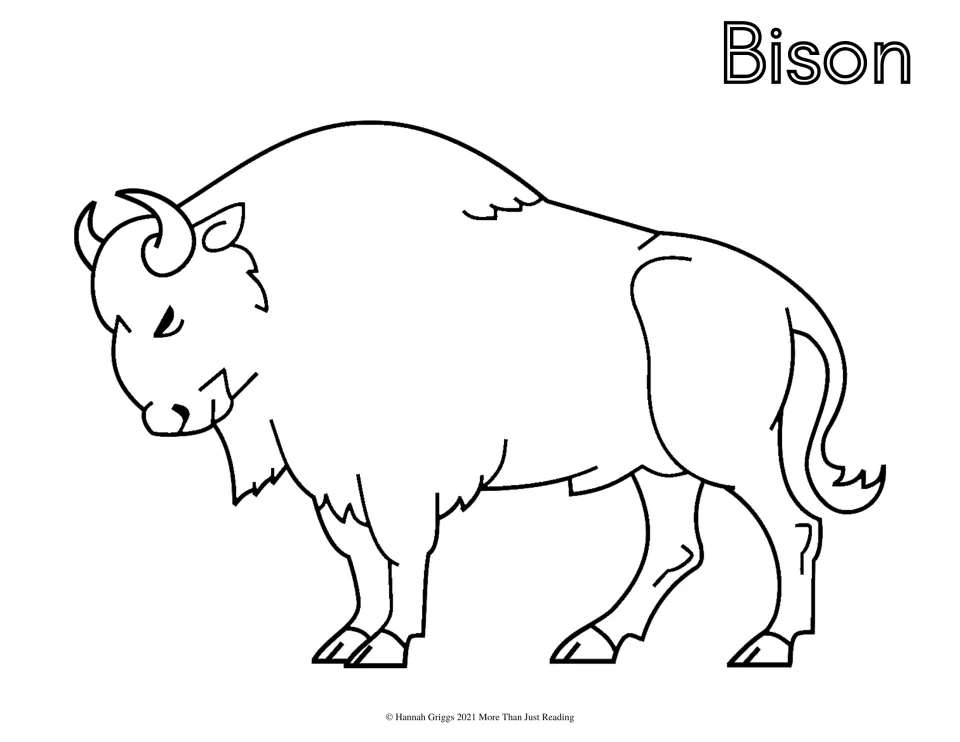 Bison: students color a side-view outline of a bison with curved horns, shaggy fur and a tufted tail, labeled Bison
