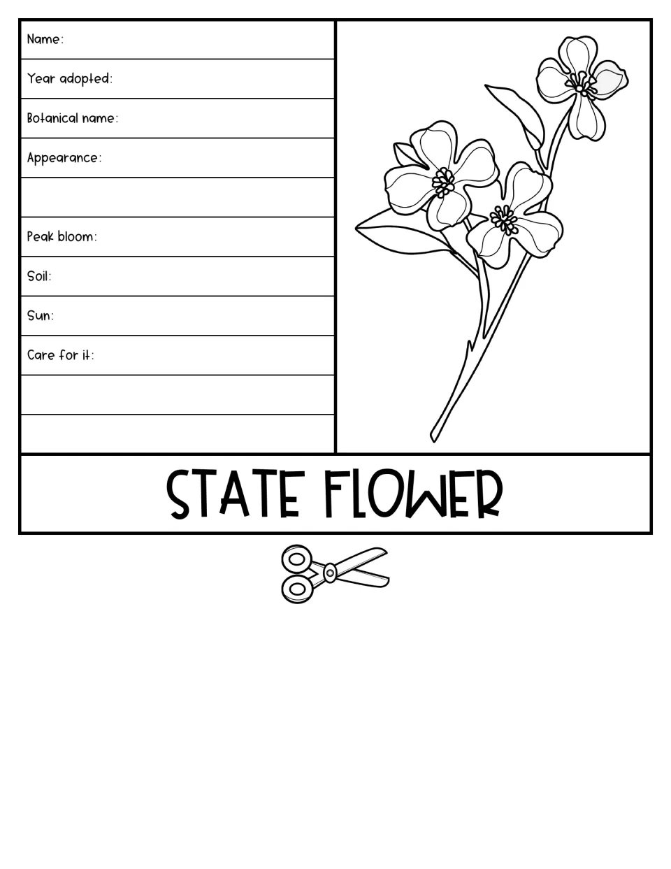 State Flower flap: students note name, botanical name, appearance, peak bloom, soil, sun and care beside a flower drawing