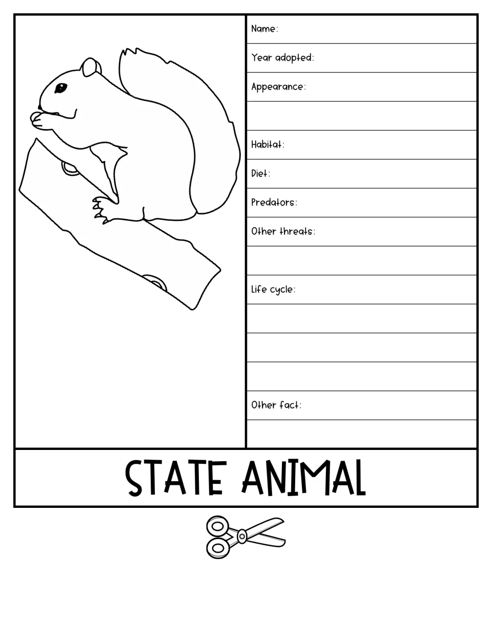 State Animal flap: students describe appearance, habitat, diet, predators, threats and life cycle by a squirrel drawing