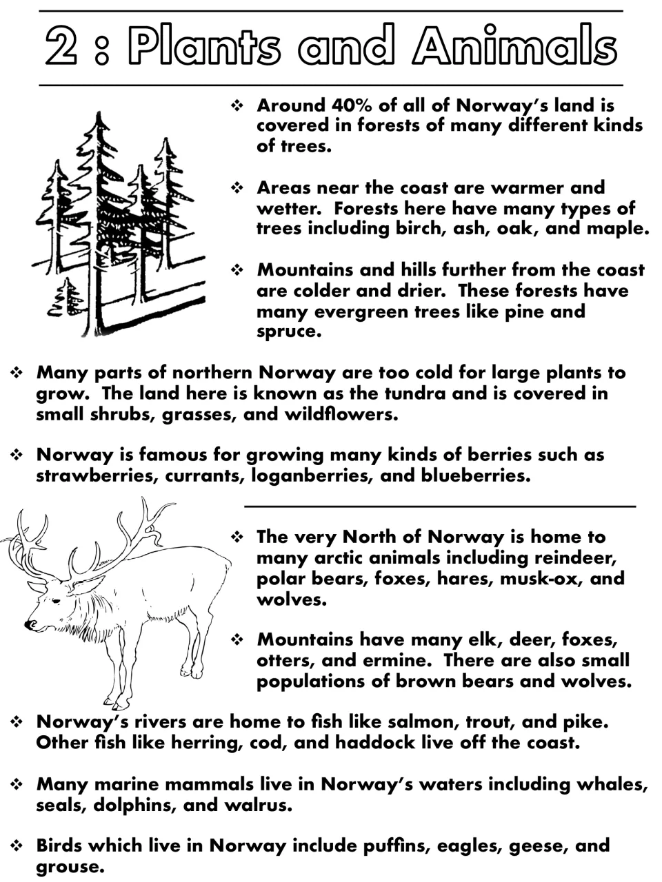 Plants and animals reading: Norway's forests, tundra, berries, arctic animals, fish, marine mammals and birds