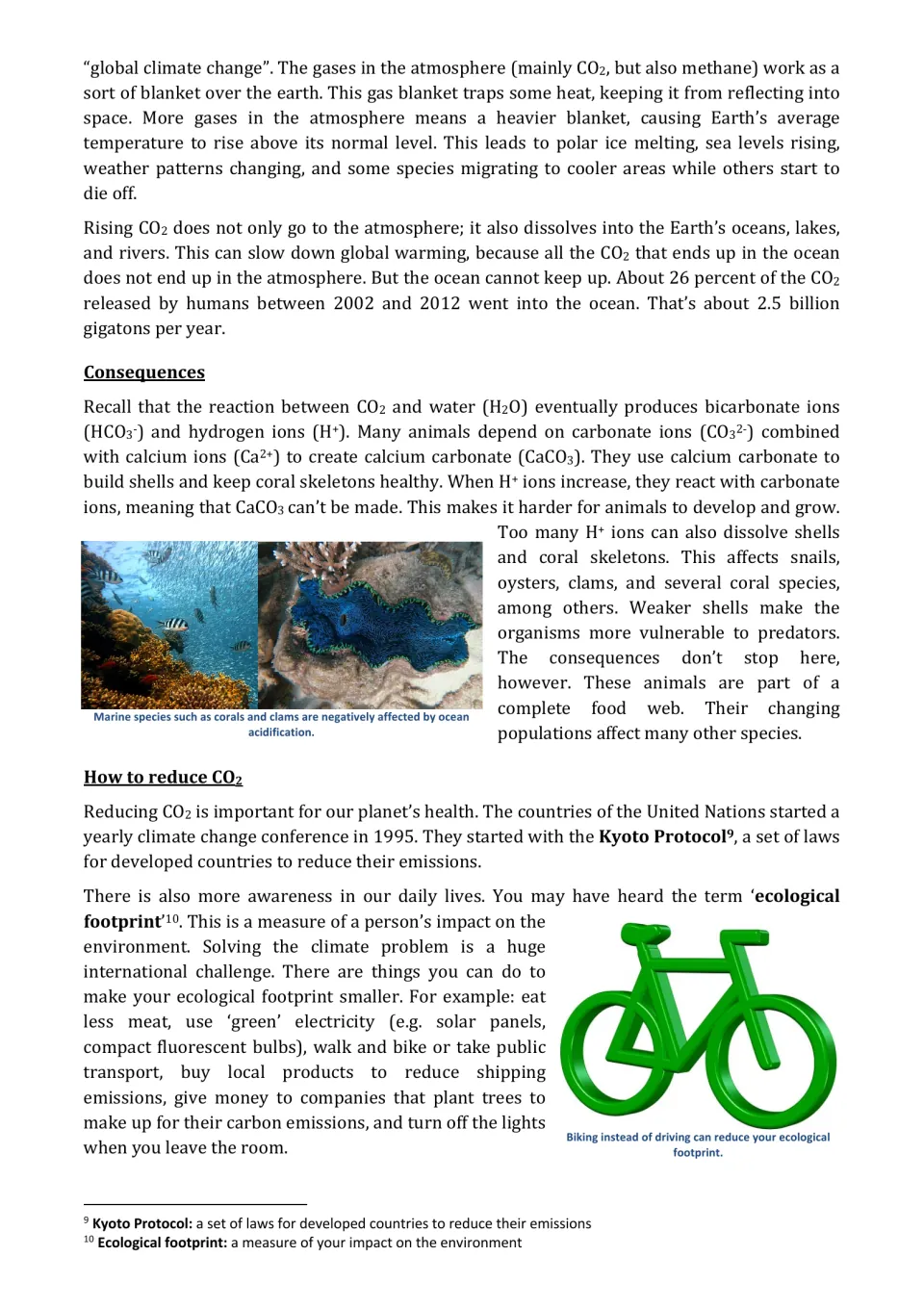 Reading continues on the gas blanket effect, damage to shells and coral from H+ ions, and ways to reduce CO2 like biking