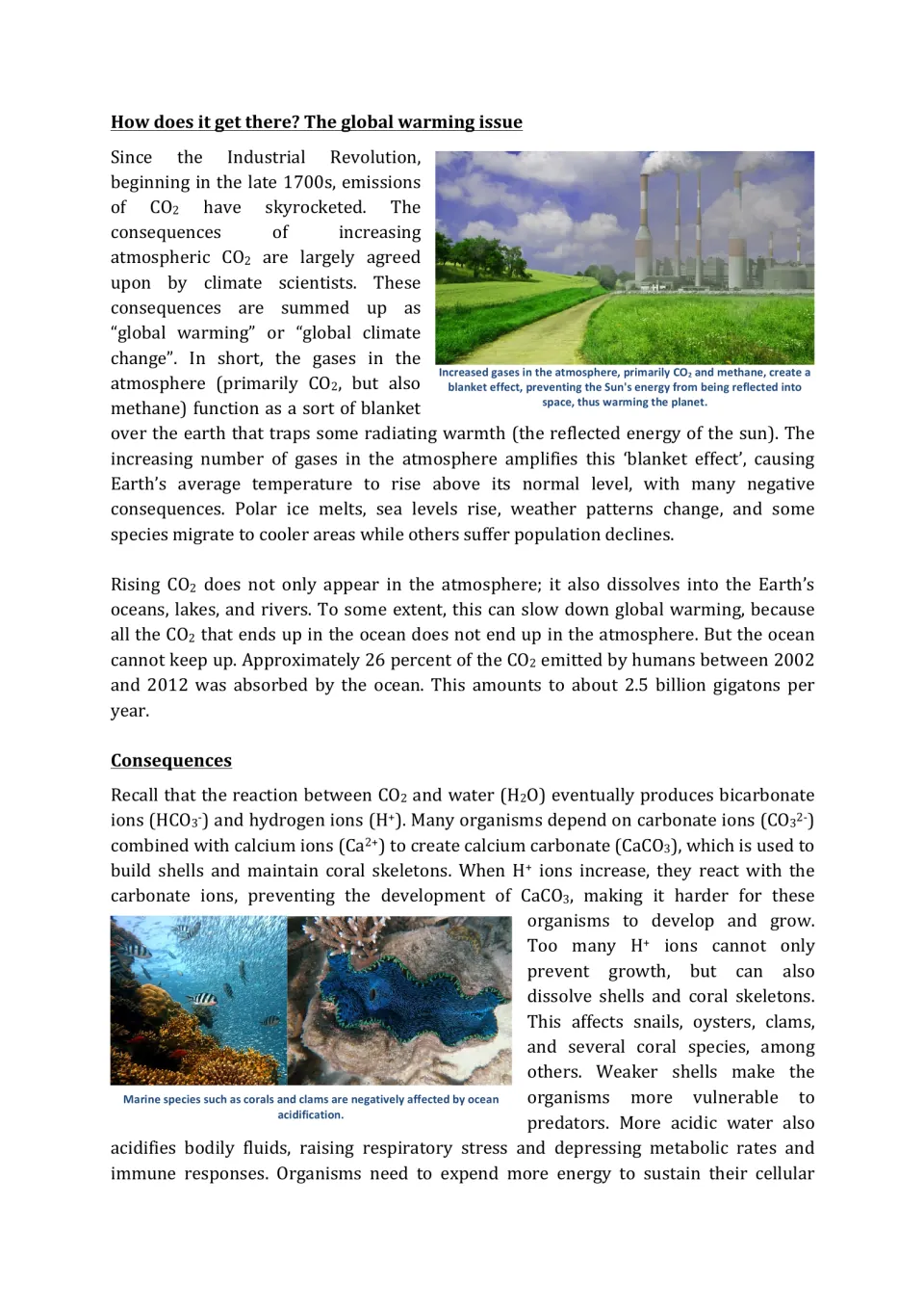 Global warming and its consequences: reading on the CO2 blanket effect and how acidity weakens shells and coral skeletons