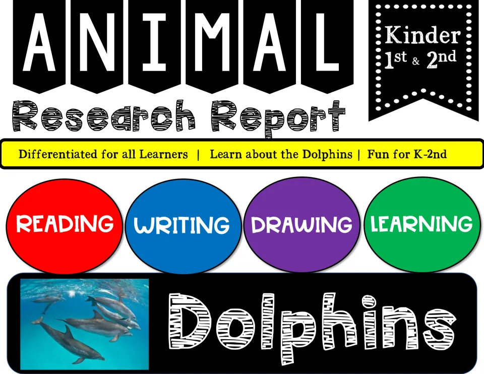 Animal Research Report cover for dolphins with Reading, Writing, Drawing and Learning labels and a photo of a dolphin pod