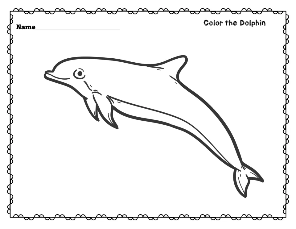 Color the Dolphin: students color a large line drawing of a dolphin and write their name at the top