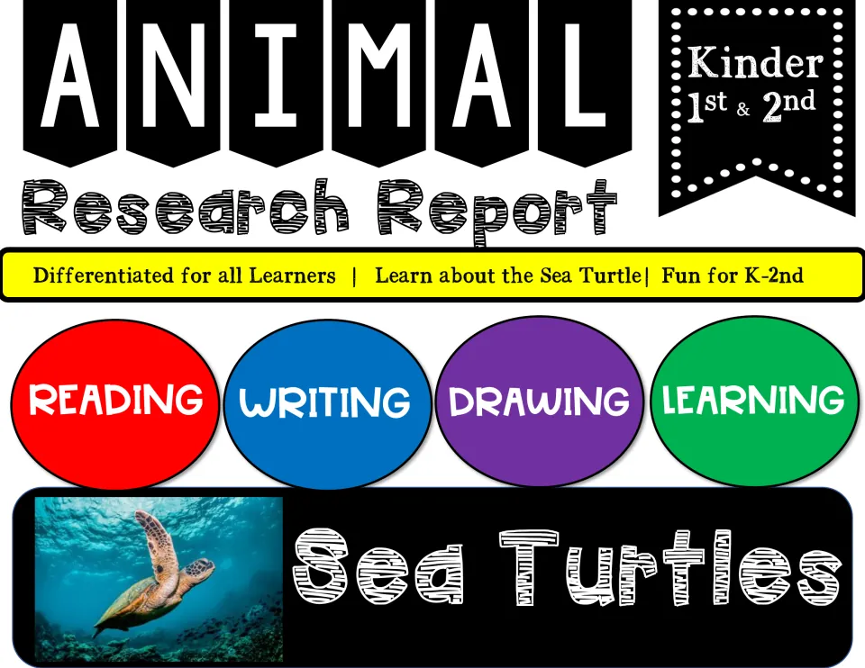 Animal Research Report cover for Sea Turtles, Kinder to 2nd, with reading, writing, drawing and learning and a turtle photo