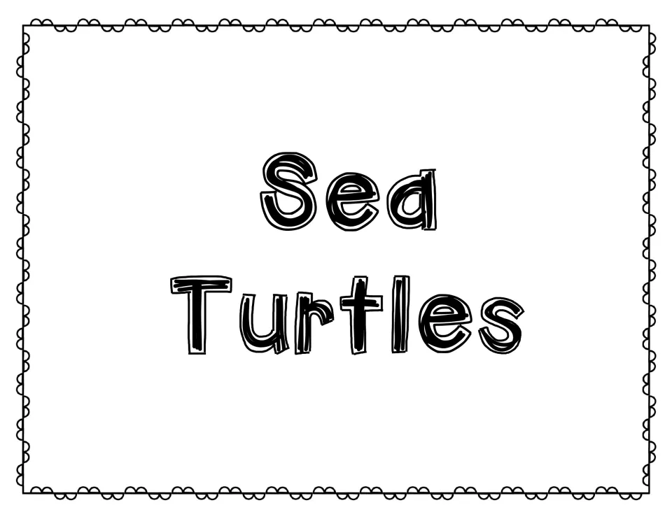 Sea Turtles title page in large outlined bubble letters that opens the sea turtle section of the research materials