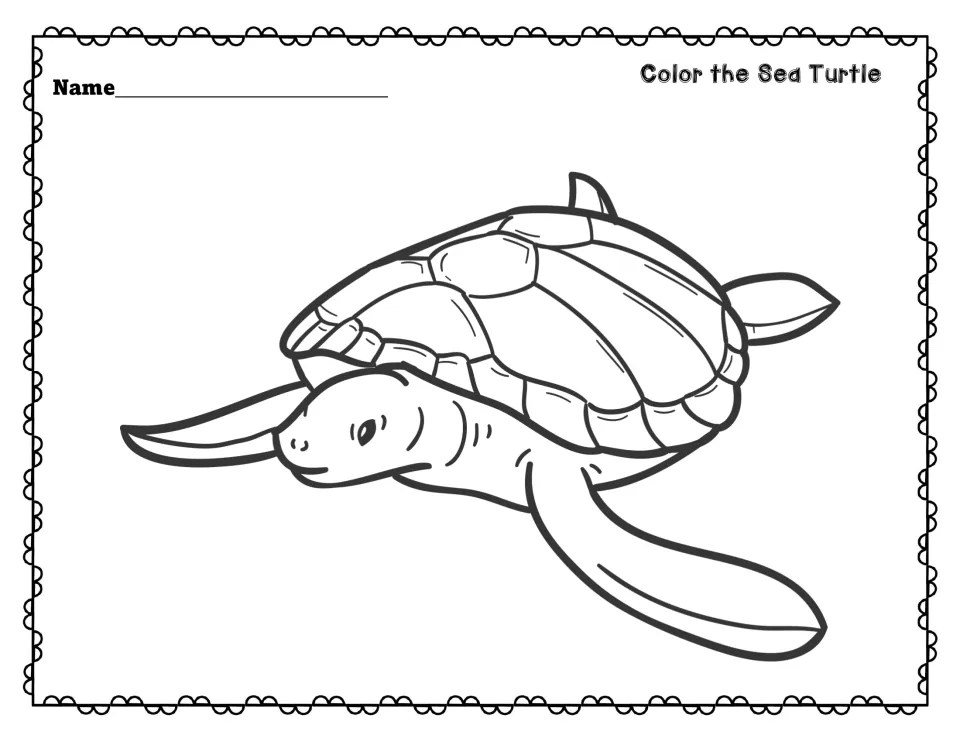 Color the Sea Turtle: a large outline drawing of a swimming sea turtle with its shell and flippers for students to color in