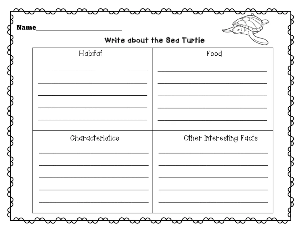 Write about the Sea Turtle organizer: students write facts under Habitat, Food, Characteristics and Other Interesting Facts