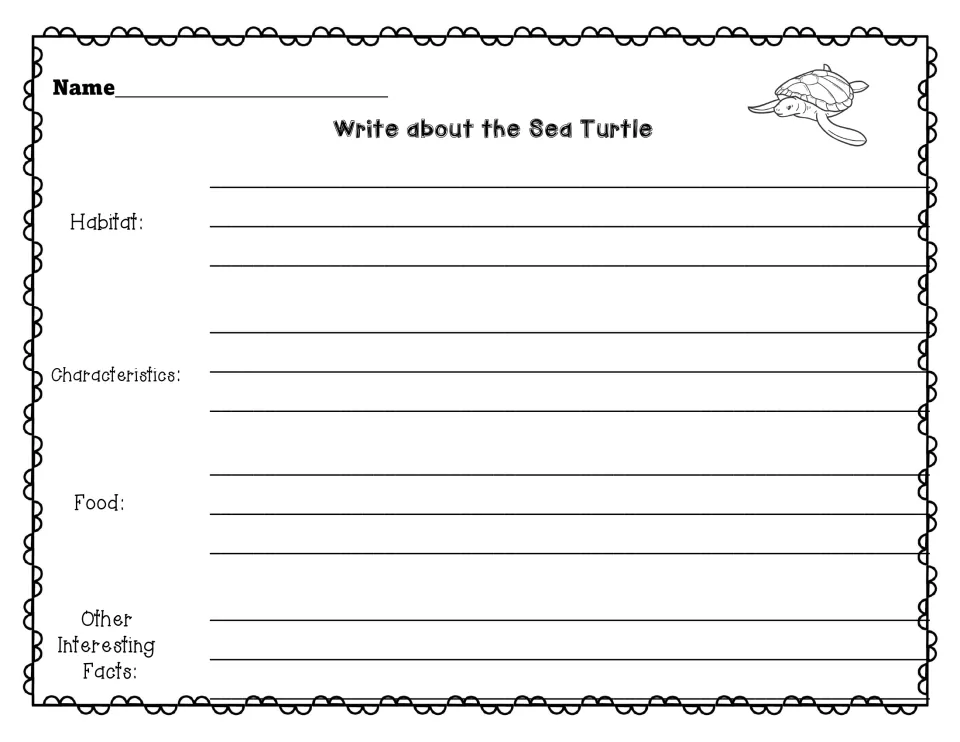 Write about the Sea Turtle: students write sentences for habitat, characteristics, food and other interesting facts