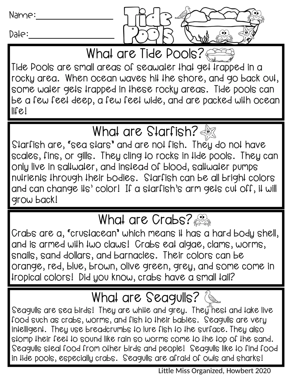 Tide pools reading passage: four short informational texts on tide pools, starfish, crabs and seagulls for fact finding