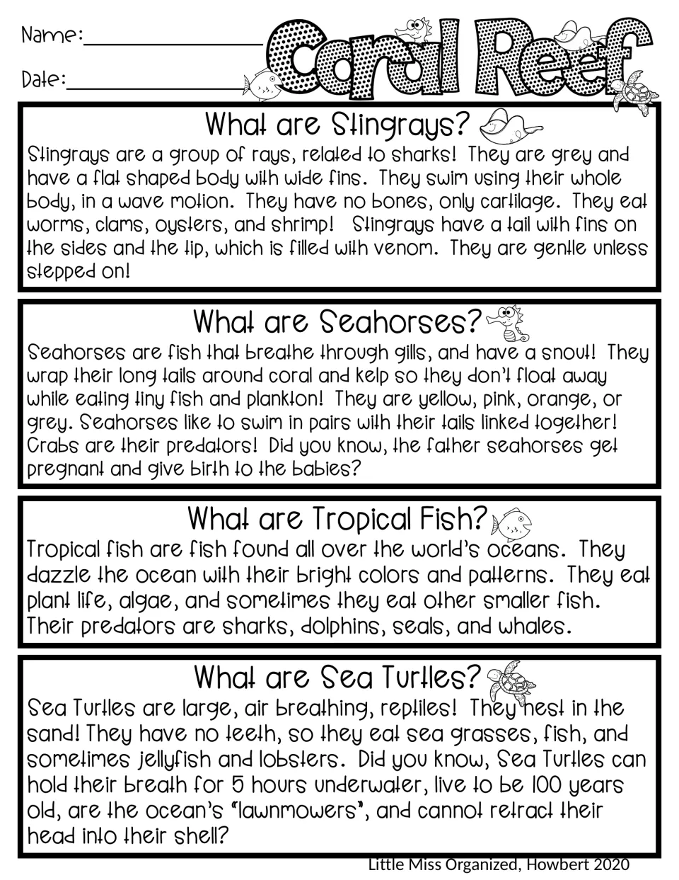 Coral reef reading passage: informational texts on stingrays, seahorses, tropical fish and sea turtles to highlight facts