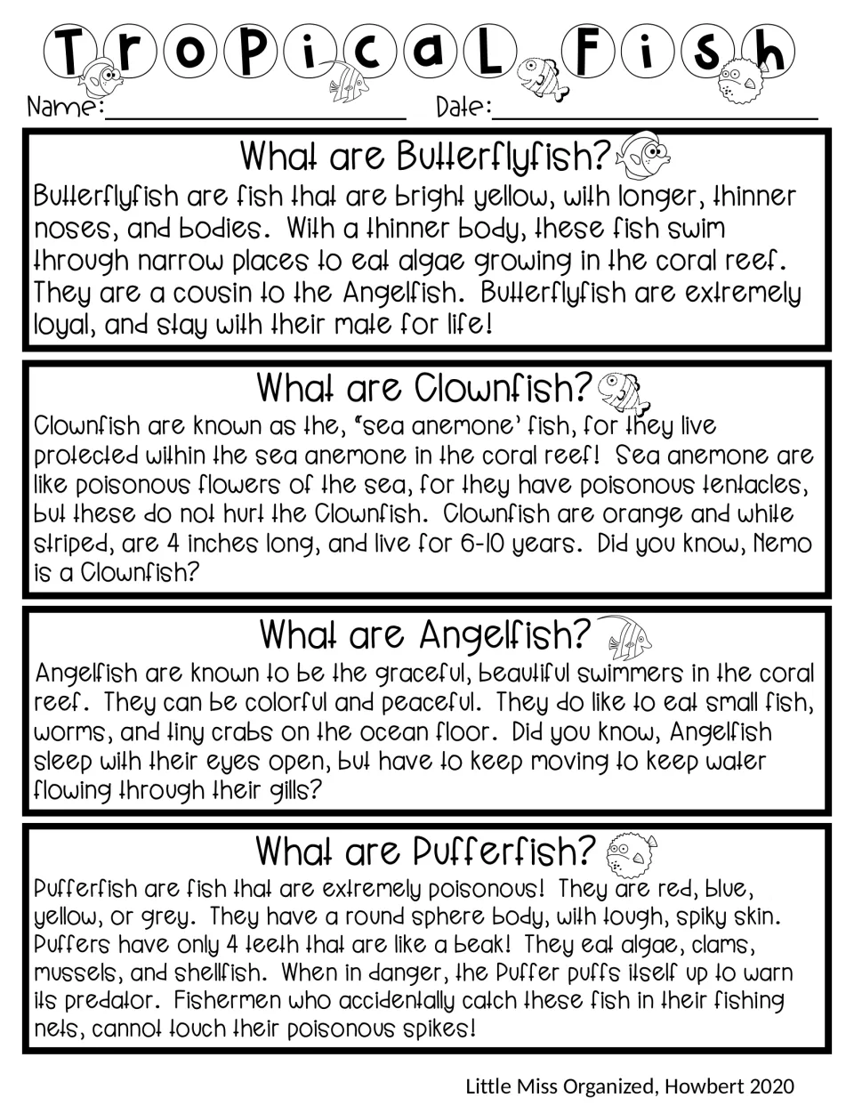 Tropical fish reading passage: short informational texts on butterflyfish, clownfish, angelfish and pufferfish