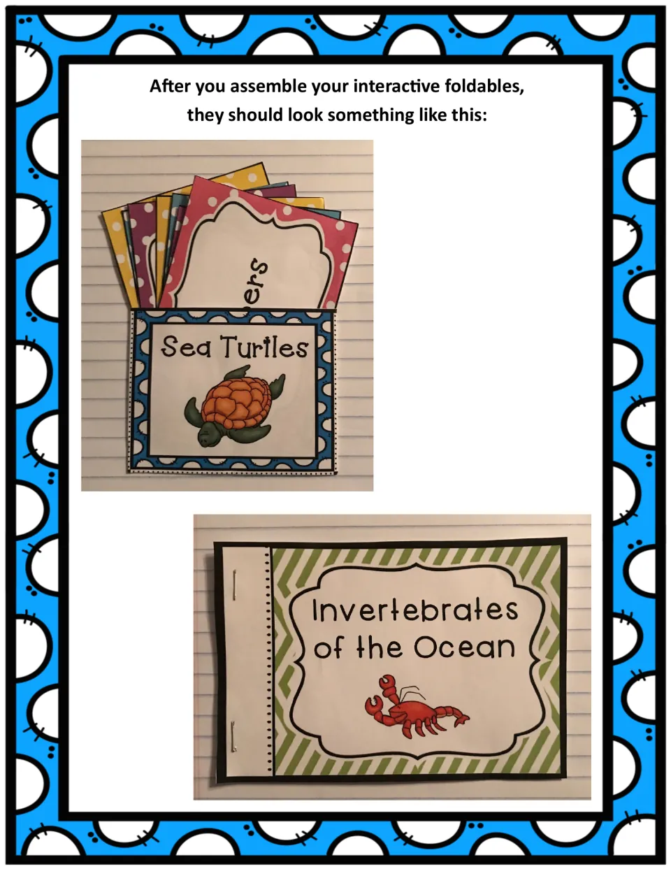 Finished Sea Turtles pocket holding fact cards and stapled Invertebrates of the Ocean booklet with a crab, shown in photos