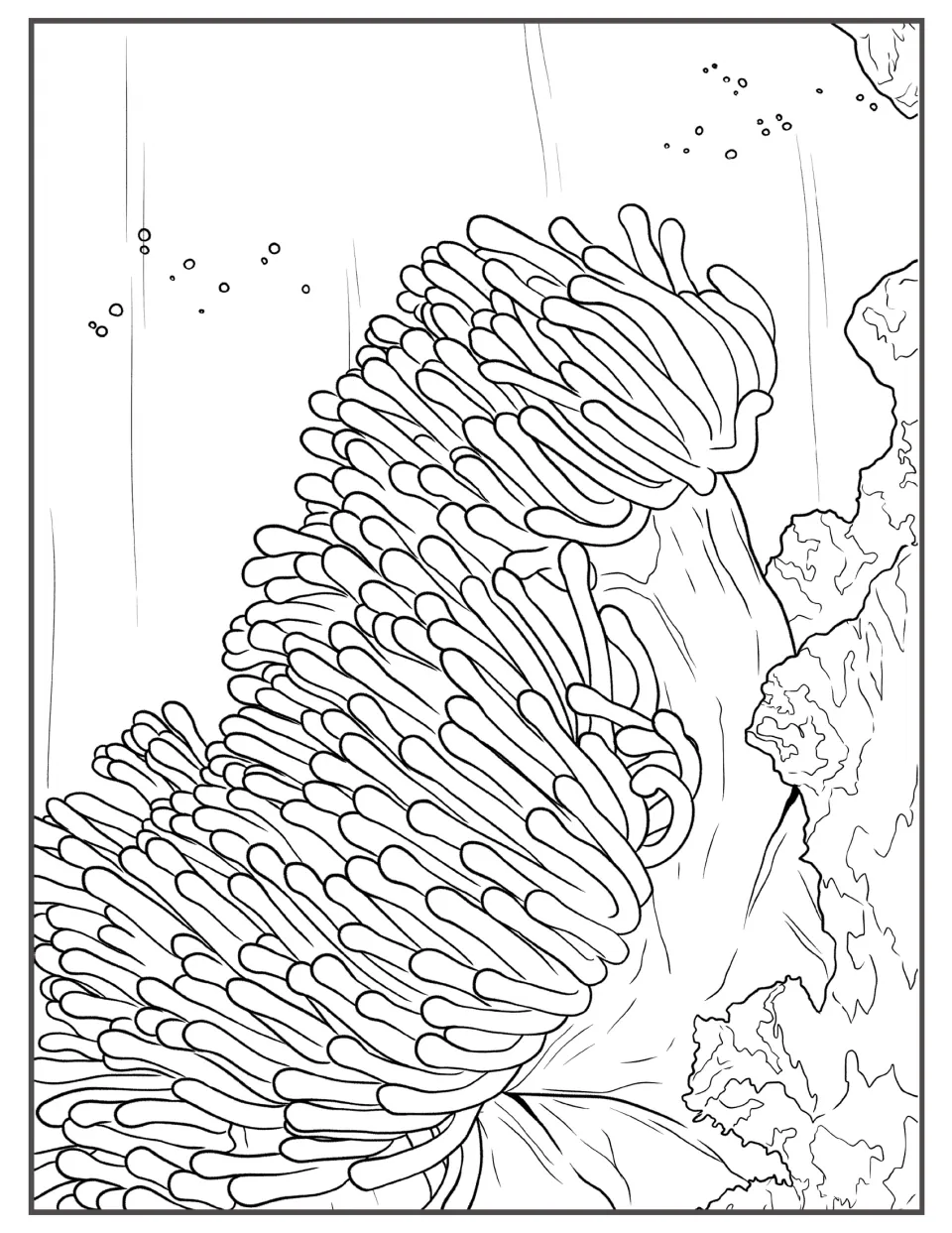 Sea anemone coloring page: students color a large anemone with curling tentacles beside a reef rock and rising bubbles
