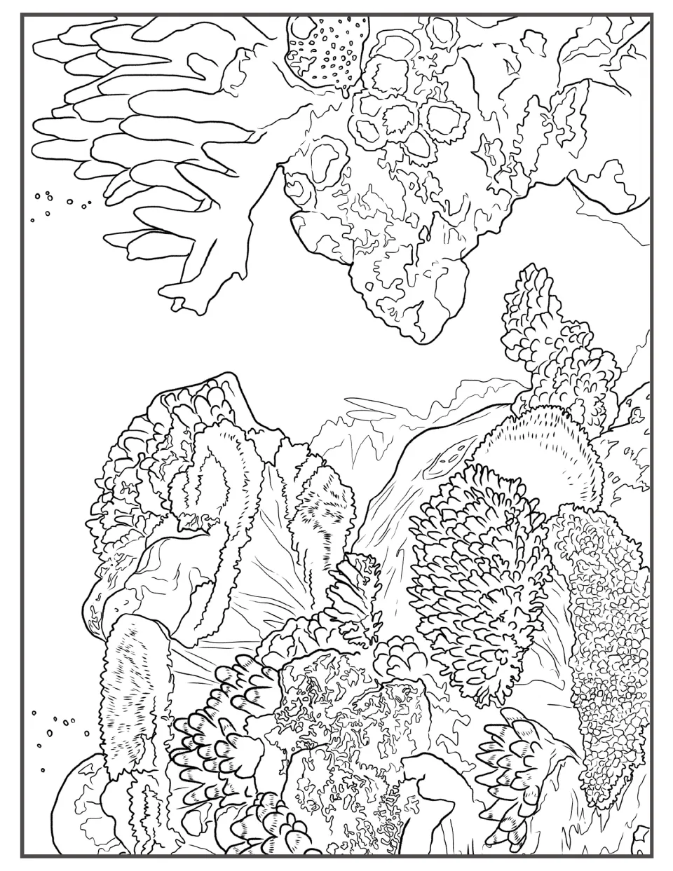 Coral reef coloring page: students color branching, brain-like and plate corals packed across a detailed reef scene