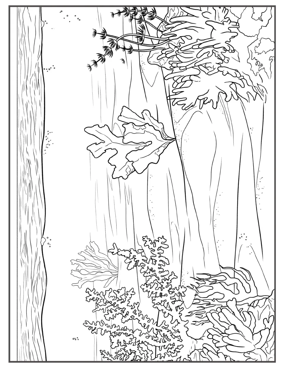 Reef slope coloring scene, landscape: students color branching corals, leafy seaweed and sea fans below the water surface