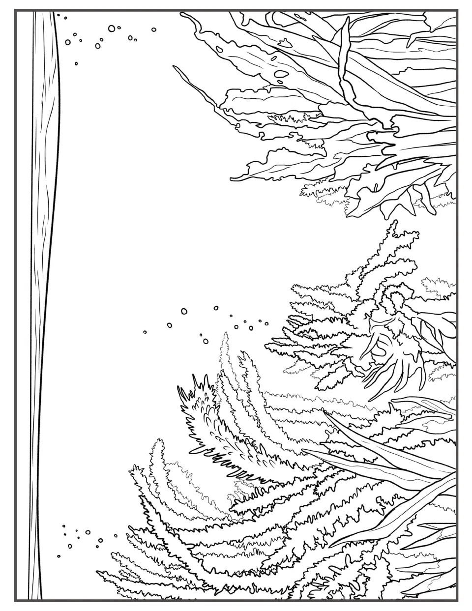 Kelp and seaweed coloring scene, landscape: students color feathery seaweed and long kelp blades drifting underwater