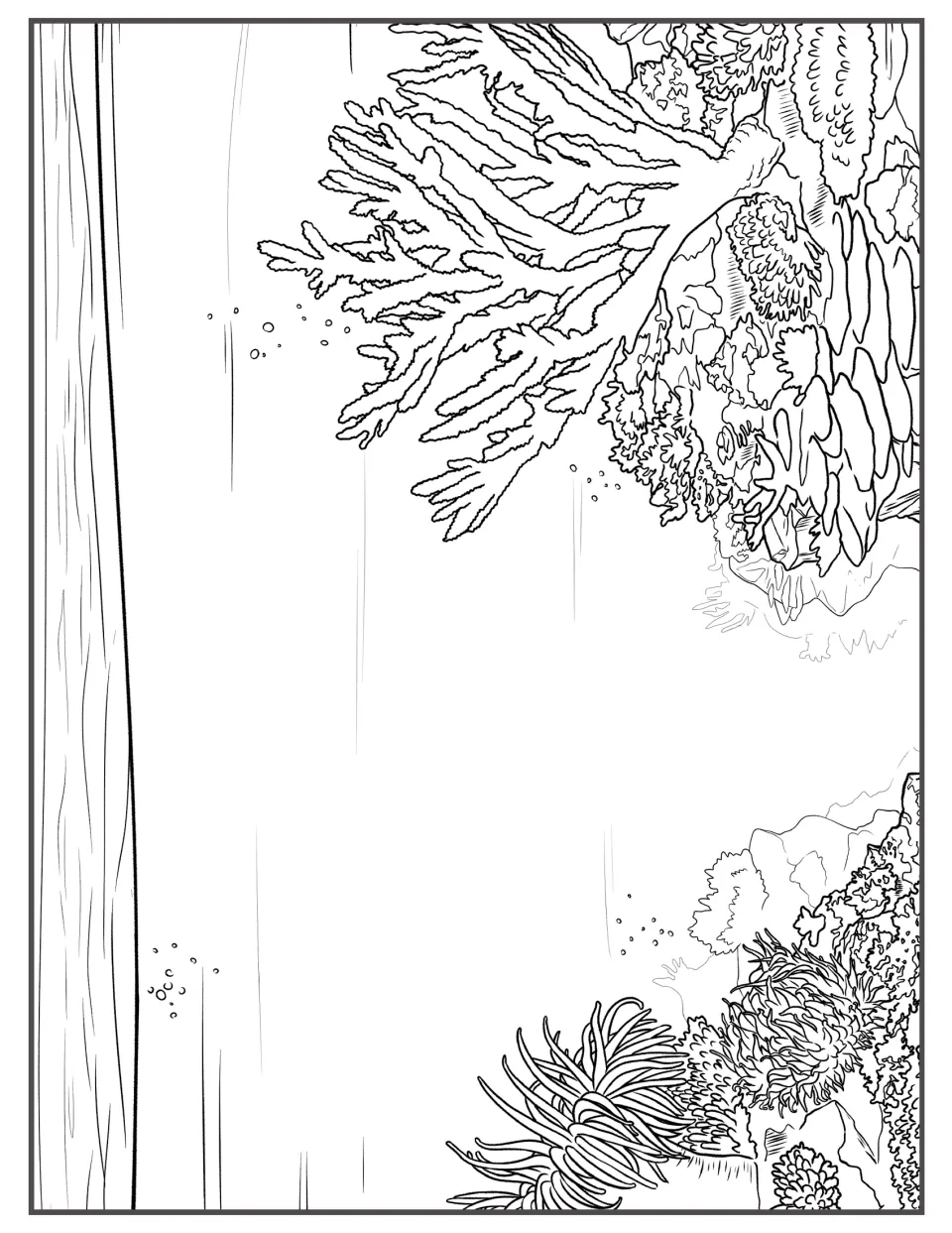 Coral garden coloring scene, landscape: students color a tall branching coral, sea anemones and reef clusters