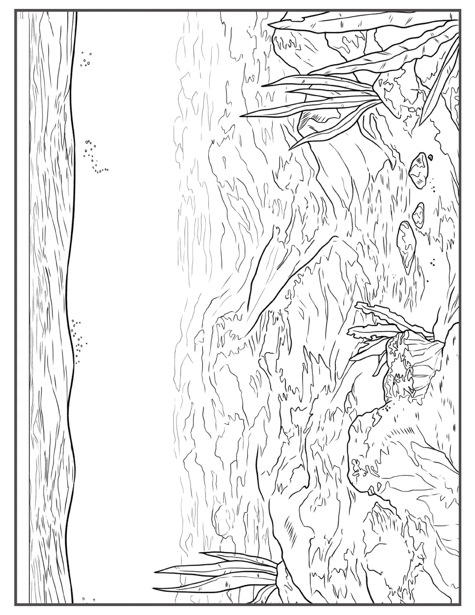 Sandy seabed coloring scene, landscape: students color rippled sand, rocks and spiky sea grass beneath the surface