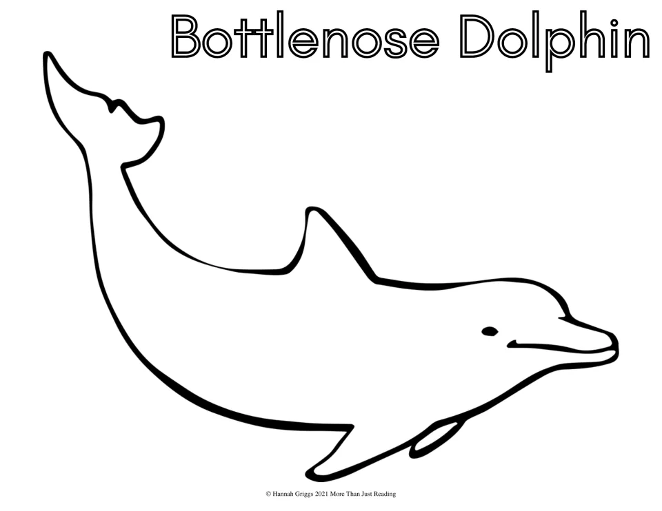 Bottlenose Dolphin coloring sheet: students color a large, simple outline of a curved bottlenose dolphin and its title