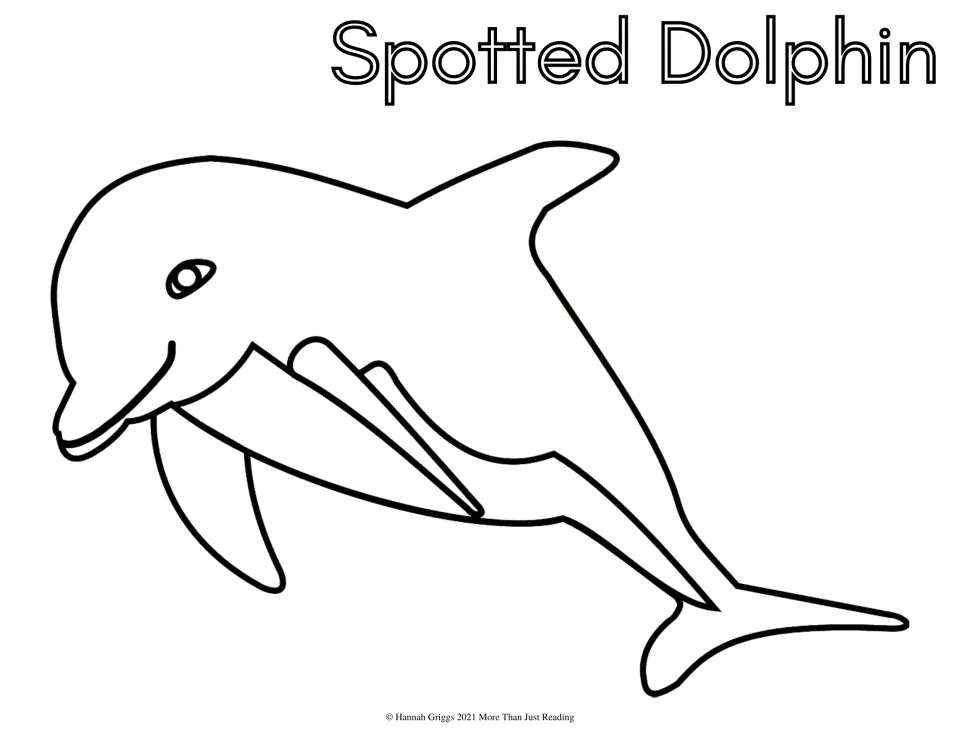 Spotted Dolphin coloring sheet: students color a smiling spotted dolphin leaping with its flippers and tail fin outlined