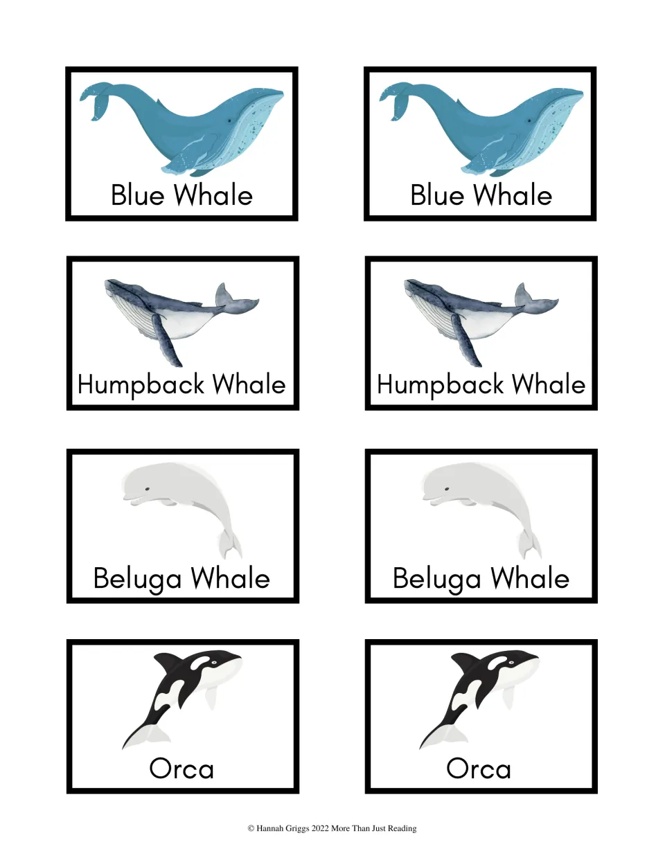 Whale matching pairs: two each of blue whale, humpback whale, beluga whale and orca cards, each picture labeled by name