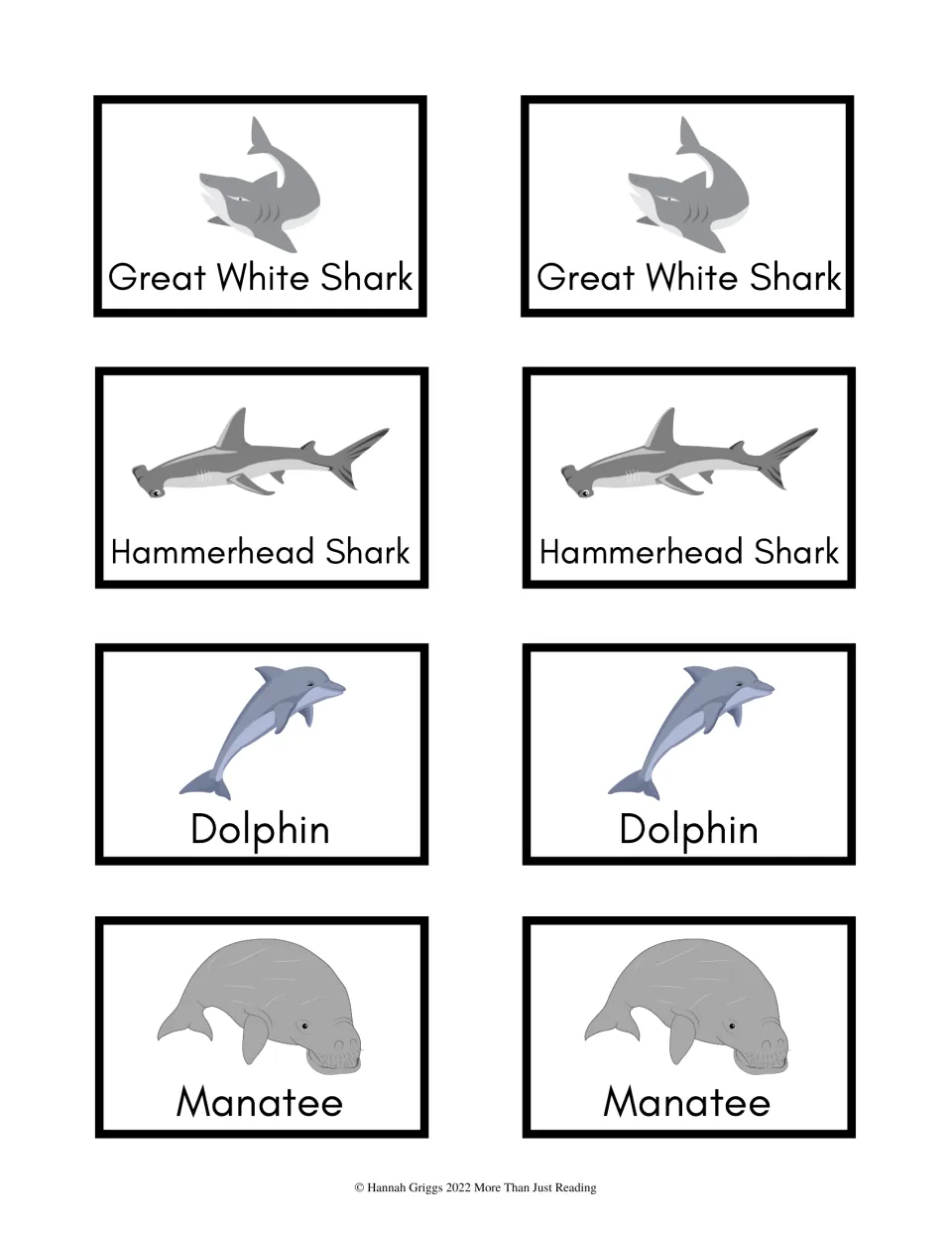 Shark and sea mammal pairs: matching picture-and-name cards for great white shark, hammerhead shark, dolphin and manatee