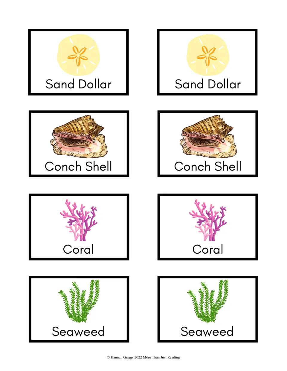 Seashore and reef pairs: labeled picture cards showing a sand dollar, conch shell, coral and seaweed, two of each card