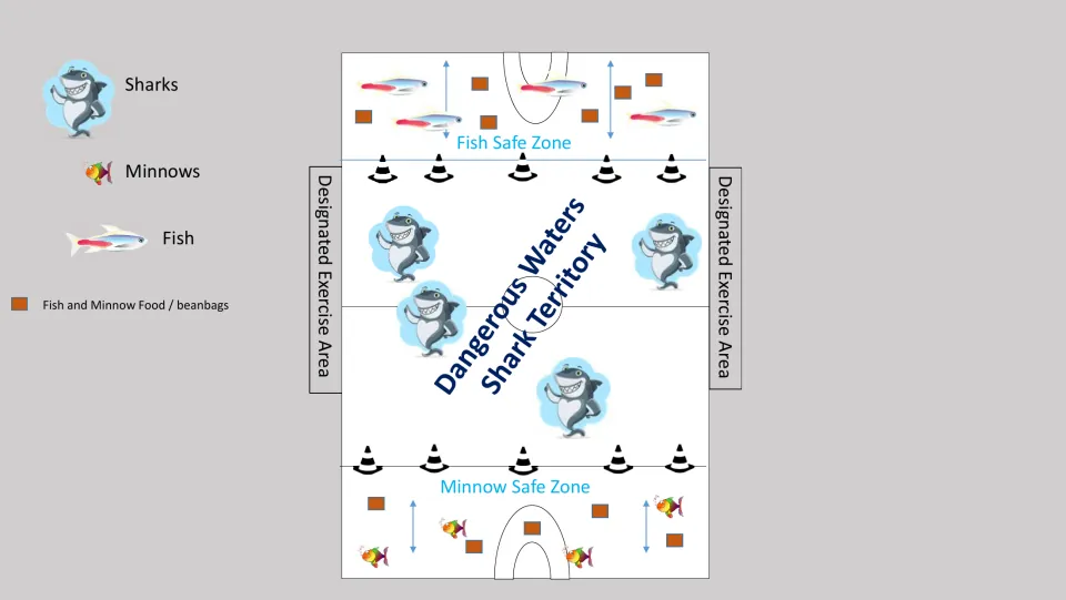 Gym setup diagram: fish and minnow safe zones with beanbags, cone lines, shark territory and side exercise areas