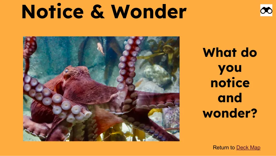 Observation slide asks “What do you notice and wonder?” beside a giant octopus photo showing its suckers