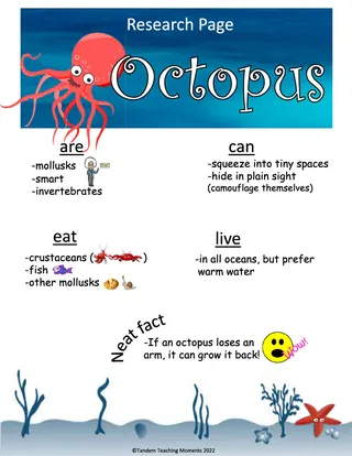 "Octopus" Worksheet Packet – sample page 2