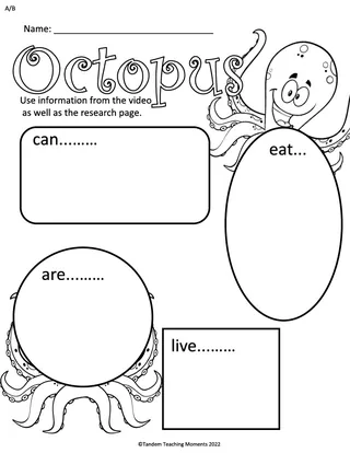 "Octopus" Worksheet Packet – sample page 3