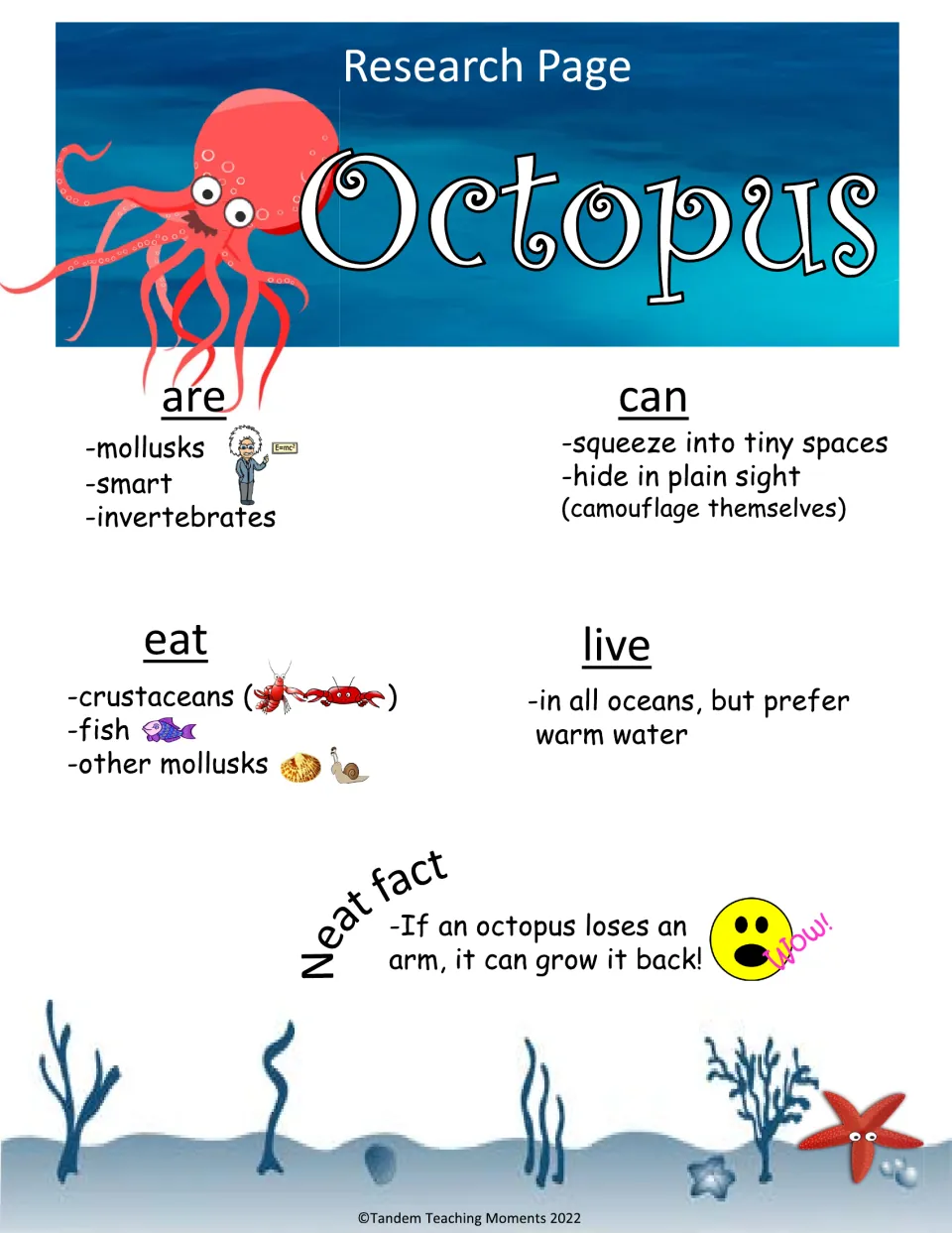 Color octopus research page: facts on what octopuses are, can do, eat and where they live, plus a regrowing-arm fact
